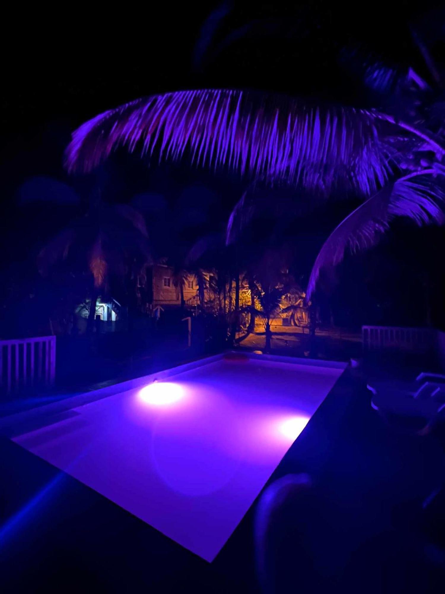 Hotel Tierra Verde Bed And Breakfast Bocas del Toro Exterior foto