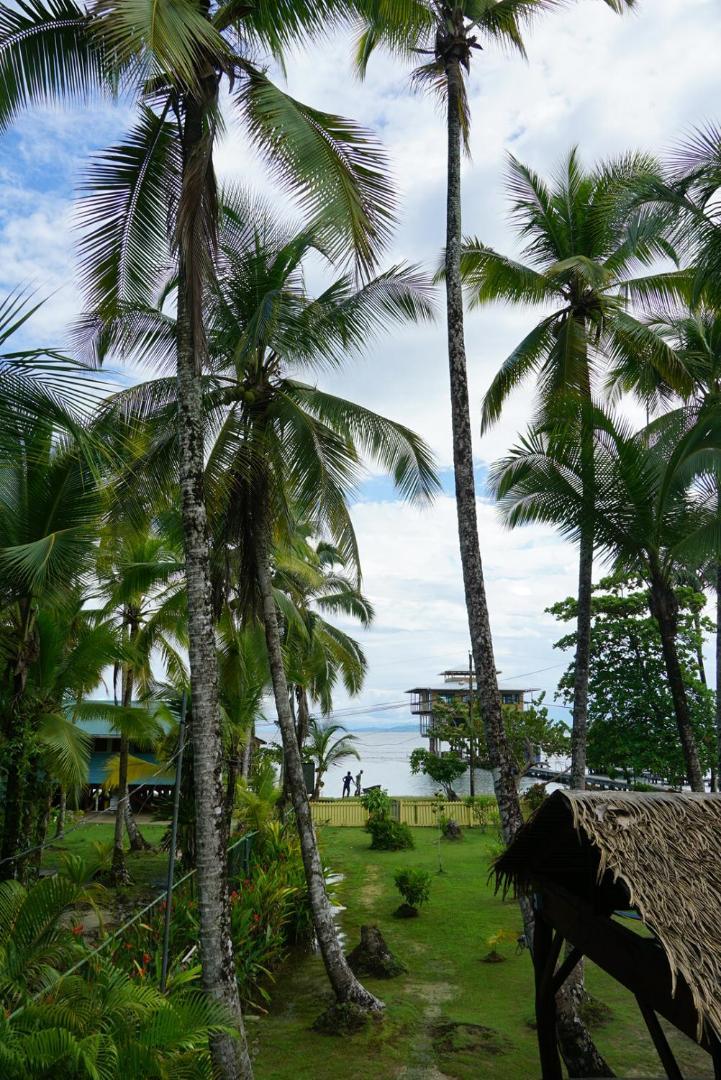 Hotel Tierra Verde Bed And Breakfast Bocas del Toro Exterior foto