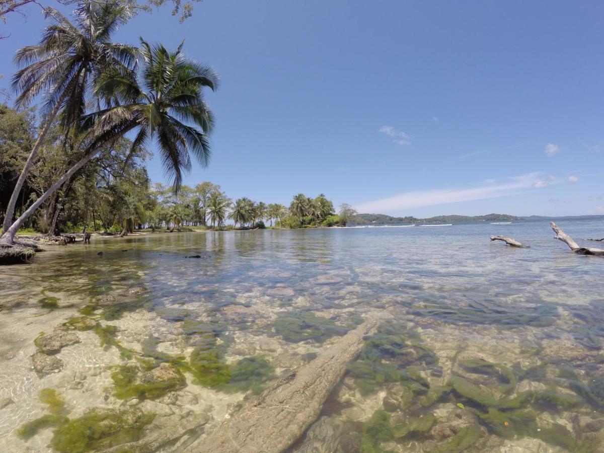 Hotel Tierra Verde Bed And Breakfast Bocas del Toro Exterior foto